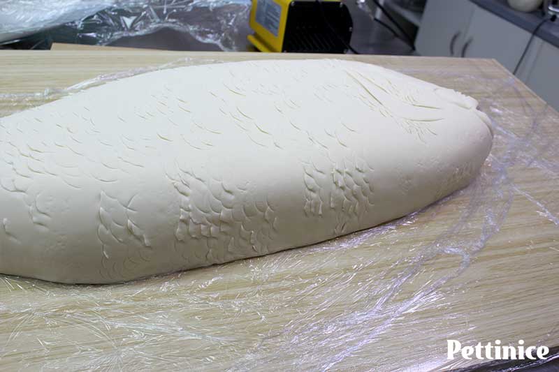 After you finish your cake details, you can recycle your cling film to protect the board before you airbrush.  You can leave your cake and move on to the fins.