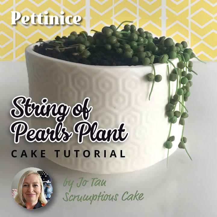 How to make a String of Pearls plant cake