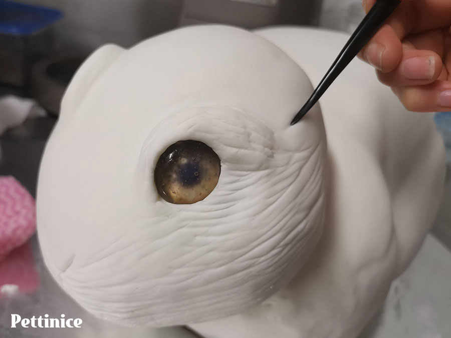 Use your veining tool and start creating fur lines all over the face and body. Use a real image as reference to see in which direction the fur lies on the different parts of a bunny's body.