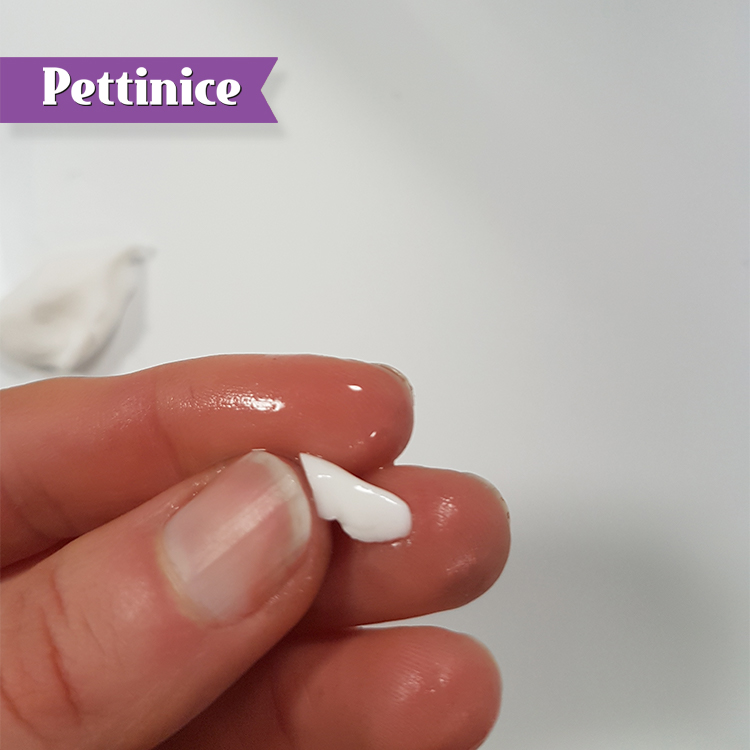 Pettinice Fixing The Uglies How To Fix Dents Cracks And Scratches In Your Fondant