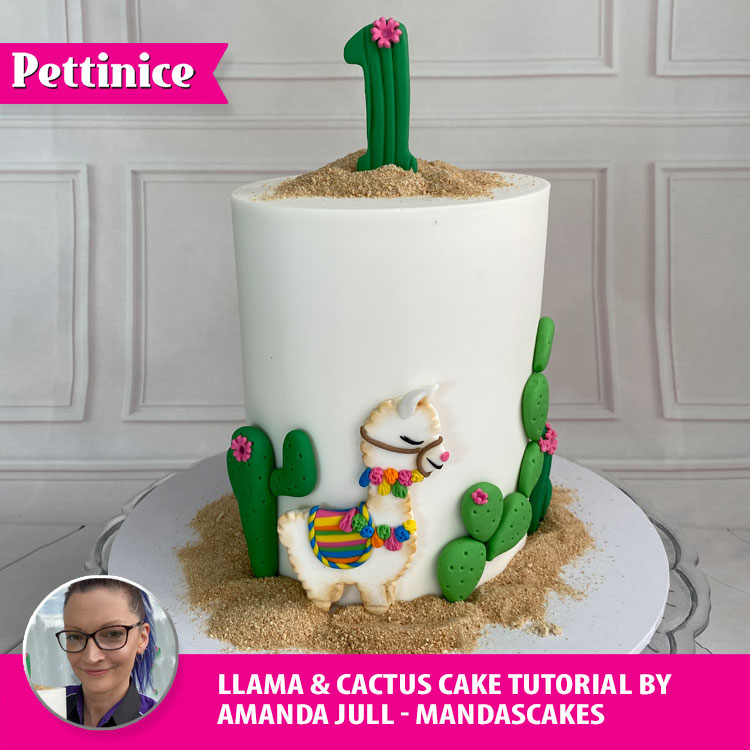 Festive Llama Birthday Party - Birthday Party Ideas for Kids