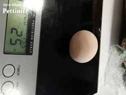 Weigh out 25 grams of your flesh coloured fondant.